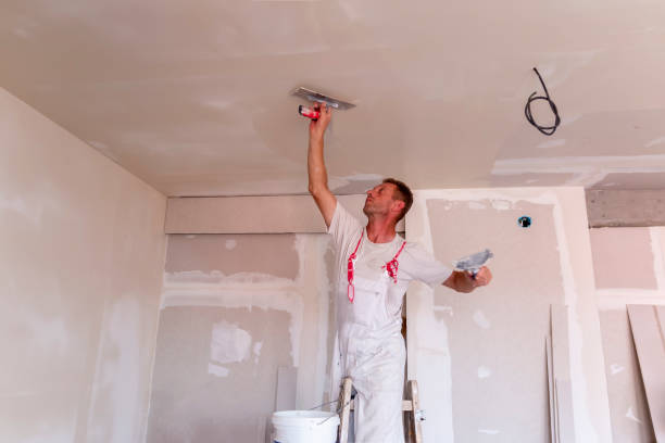 Best Fire-Damaged Drywall Repair  in Big Bear Lake, CA